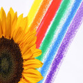 Waarom worden de kleuren van de regenboog altijd in dezelfde volgorde weergegeven?