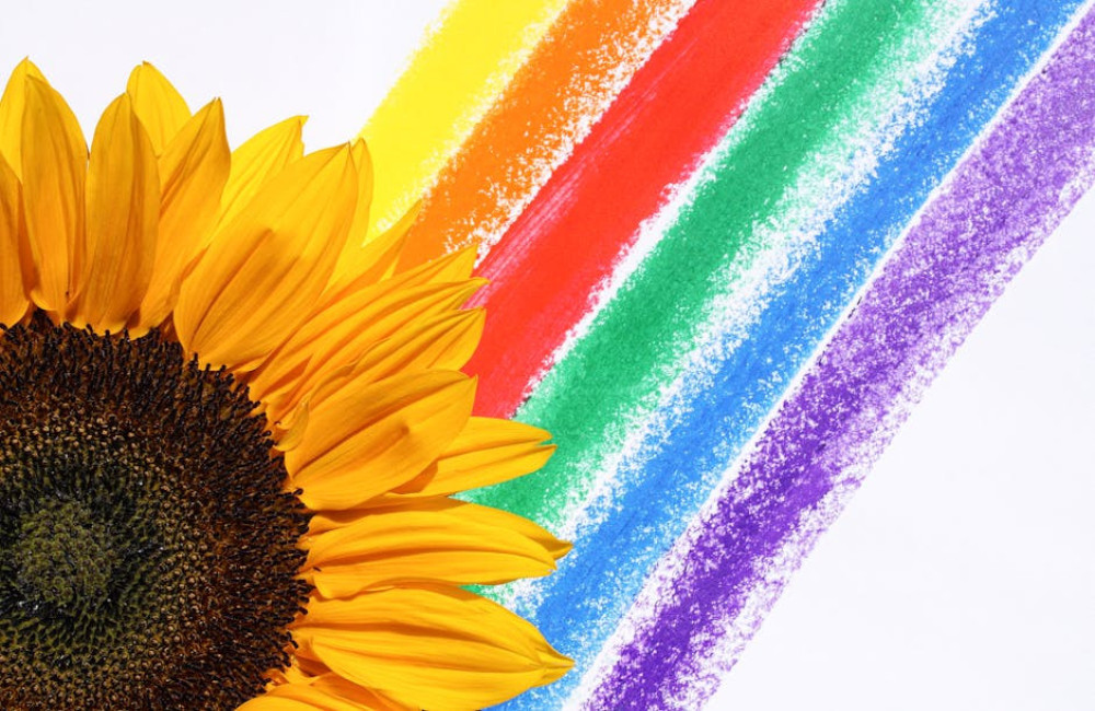 Waarom worden de kleuren van de regenboog altijd in dezelfde volgorde weergegeven?