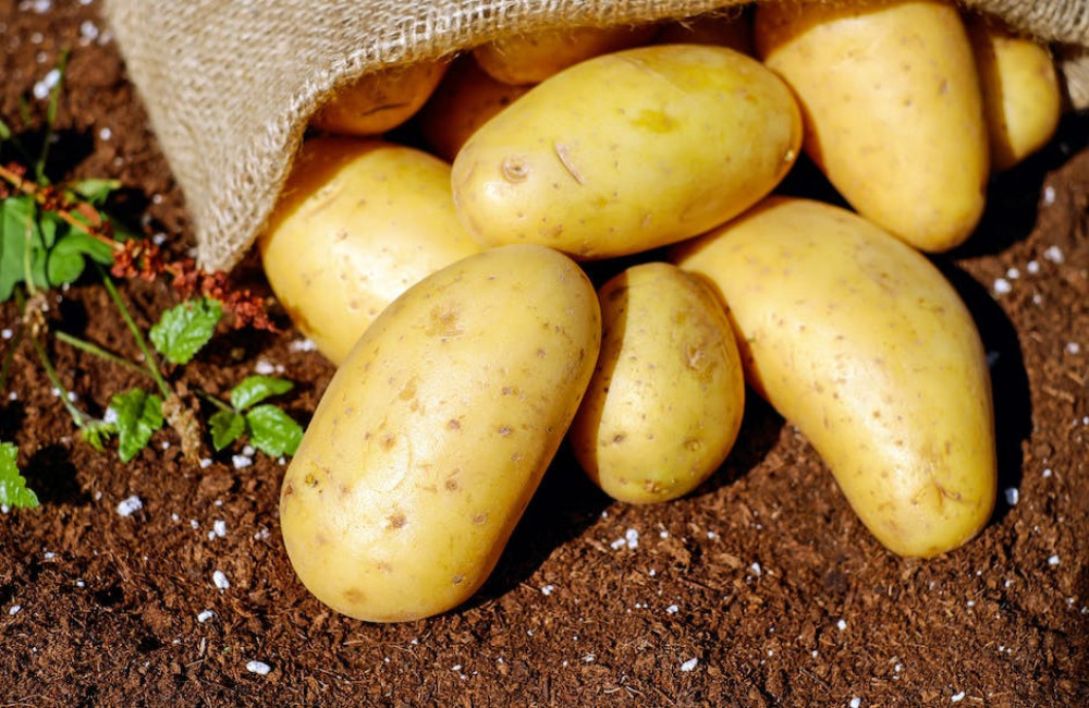 5 tips als je aardappelen gaat koken