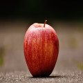 Waarom zegt men 'de appel valt niet ver van de boom'? Betekenis en herkomst uitgelegd