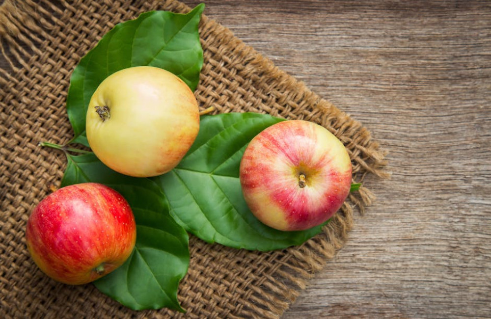 Wat betekent het als iemand zegt: ‘de appel valt niet ver van de boom’?